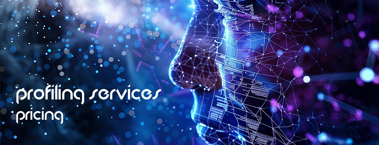 There are many benfits to DISC profiling